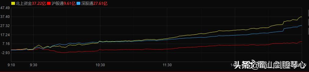 晨鑫科技股票最新消息全面解读与分析