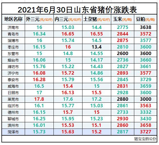 今日生猪价格表及分析，最新动态与影响因素探讨